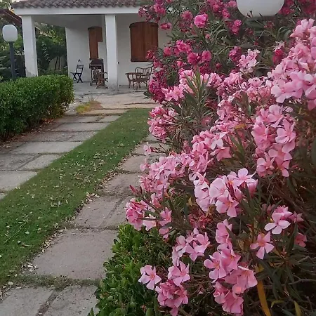 Margherita クアルトゥ・サンテーレナ